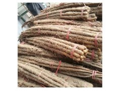 蔬菜水果 食用菌 粮油 花卉苗木 畜牧养殖 茶叶 中草药 肥料种业 农药/原药/杀菌剂 农机农具 渔业 加工机械 金属丝网制品 生态农业 包装印刷_哈密瓜生鲜水果水果信息哈密瓜生鲜水果水果